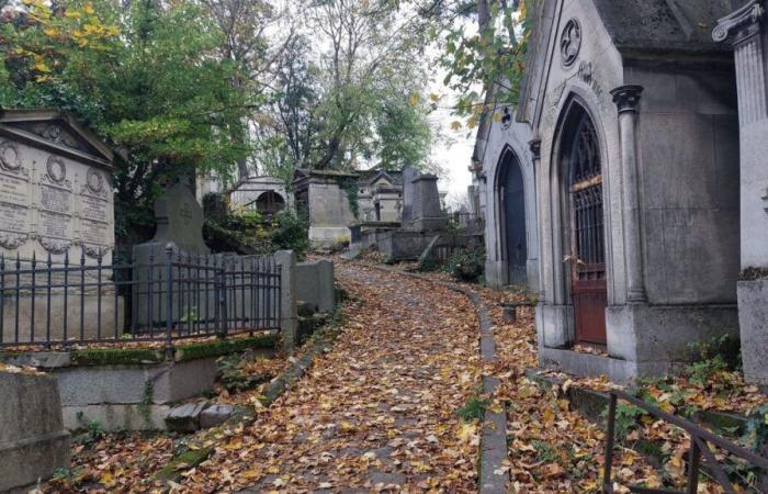 Légendes, célébrités, sépultures insolites… Découvrez les secrets du Père-Lachaise en bande dessinée