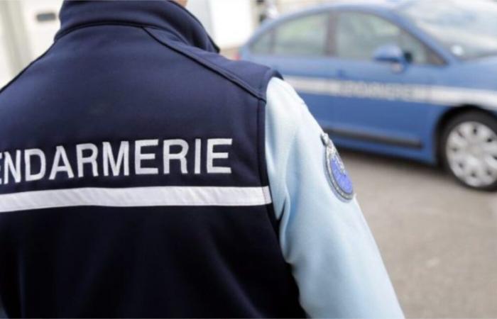 deux mineurs interpellés et placés en garde à vue pour violences et voies de fait à Mauriac