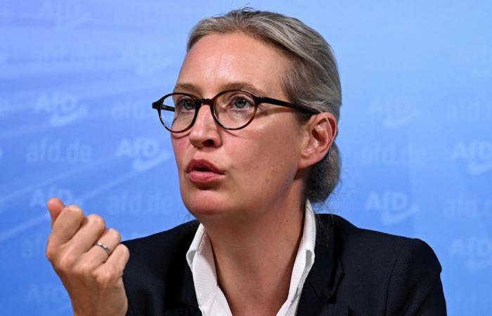 Juge militaire sous Hitler : révélation explosive sur le grand-père de Weidel