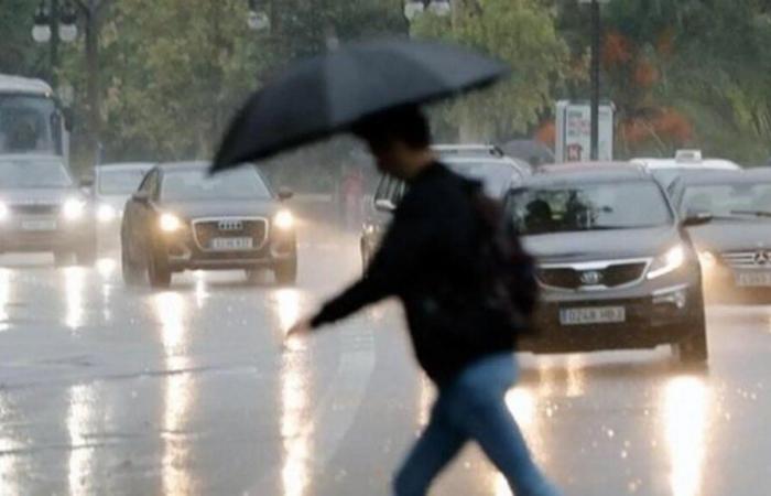 Aemet lève l’alerte au rouge en Andalousie en raison de tempêtes et le plan d’urgence est activé