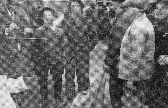 Haute-Loire. Il y a 60 ans, une tonne de champignons était vendue à la foire de Saint-Bonnet