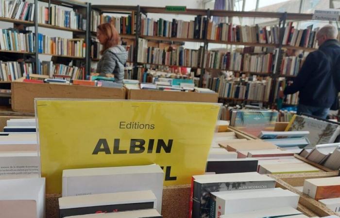 le bilan en deux parties du 50e Salon du livre de Belfort