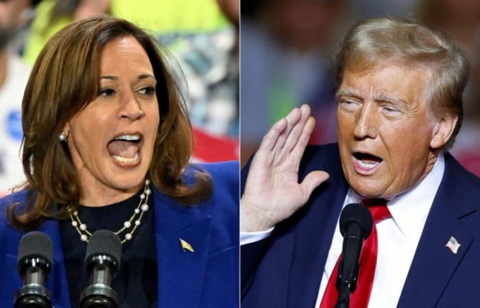 Harris ou Trump, à deux jours de l’élection, que disent les sondages ?