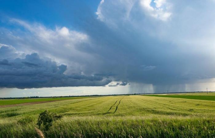 la recherche d’un monde plus durable