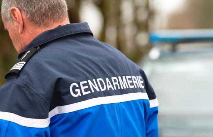 Les deux cambrioleurs agressés à leur domicile à Mauriac