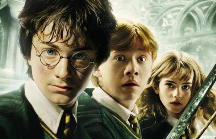 Nos idées pour faire de la nouvelle série Harry Potter un succès