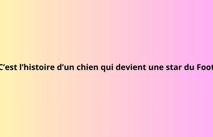 vous avez une mauvaise mémoire si vous ne reconnaissez pas ces 10 comédies françaises mal résumées