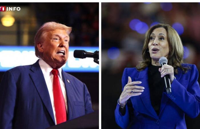 Donald Trump ou Kamala Harris, que disent les sondages à J-2 ?