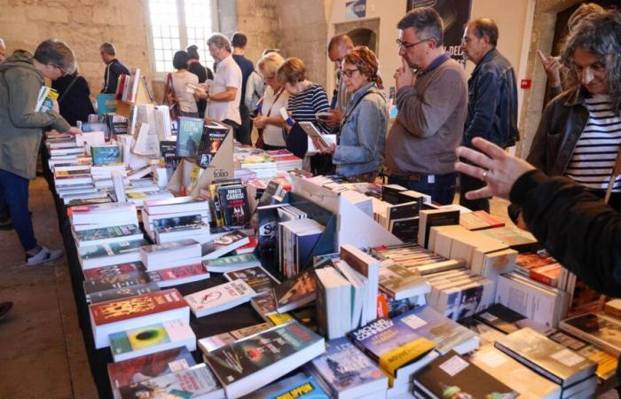 Dernier jour pour vivre un voyage au-delà du cercle polaire à Villeneuve-lez-Avignon