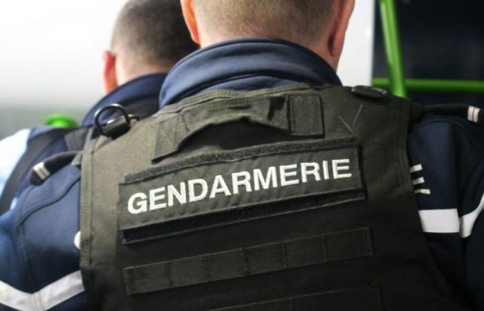 dans l’Oise, les gendarmes perturbent une rave party