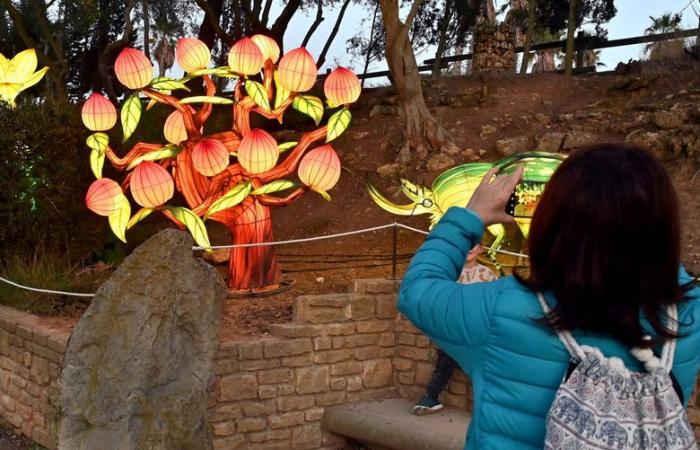 PHOTOS – Les Lumières d’Afrique à la Réserve Africaine de Sigean : magie visuelle près de Narbonne