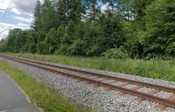 Un homme heurté par un train sur le Maadweg