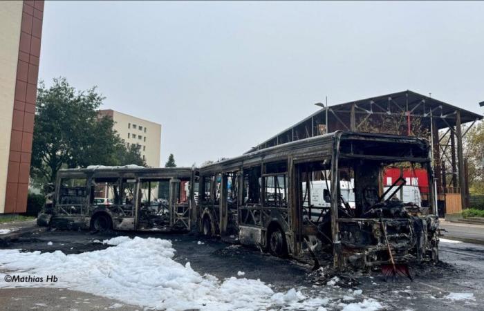 Violences et bus TCL incendiés dans la métropole de Lyon : neuf interpellations