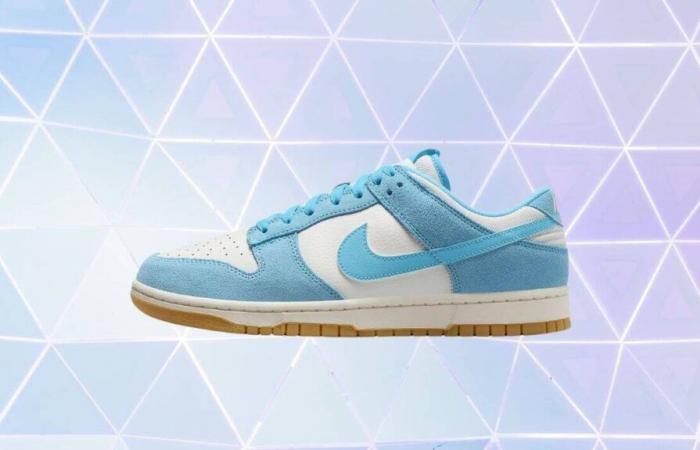 Nike sévit et propose ce modèle Dunk Low à un prix jamais vu sur son site (stock limité)