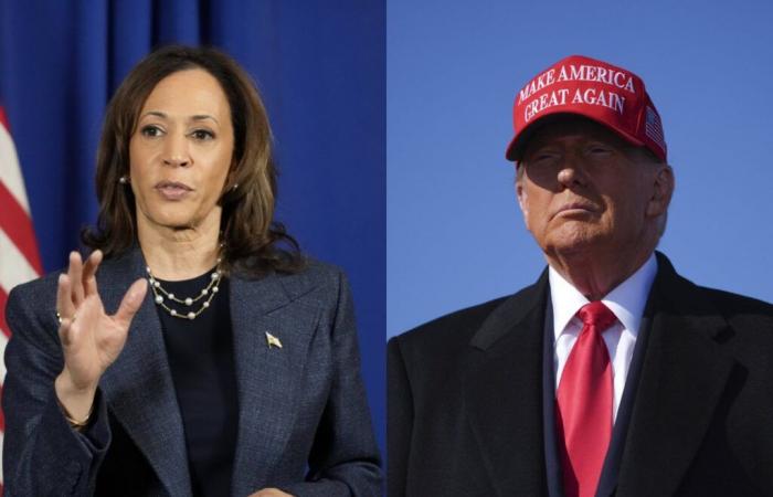 Trump ou Harris, ce que disent les sondages