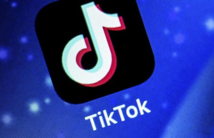 Sept familles poursuivent TikTok en justice pour faire reconnaître l’impact du réseau sur la santé de leurs enfants