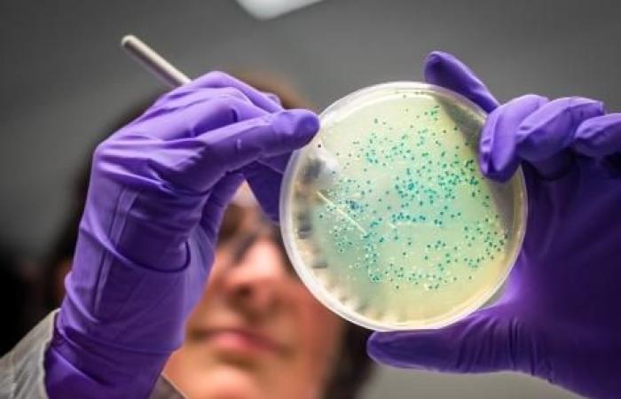 Les nanoplastiques peuvent réduire l’efficacité des antibiotiques