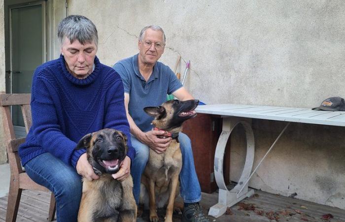 survivant des inondations en Espagne, un couple du Gard raconte une semaine dans le chaos