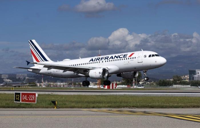 Air France suspend ses vols au-dessus de la zone, plusieurs de ses avions font demi-tour