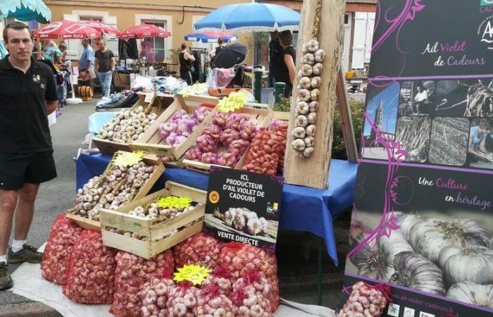 “J’ai peur qu’un jour, un agriculteur règle ses propres comptes”, la crainte des agriculteurs de Haute-Garonne