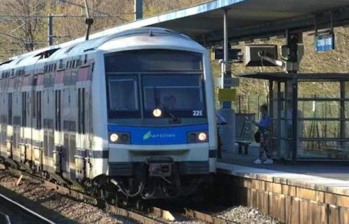 Bagarre dans un RER : des mineurs blessés à coups de hache