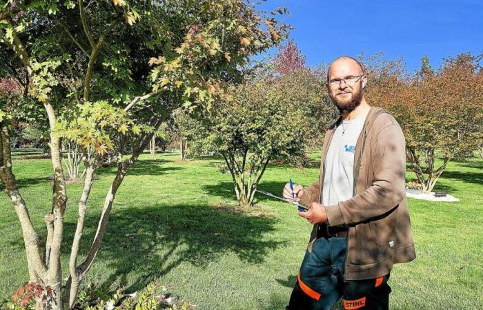 A Pluneret, Alexandre Baillot s’occupe des Jardins de la Mémoire