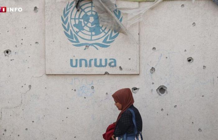 L’ONU officiellement informée par Israël de l’annulation de l’accord avec l’UNRWA, son agence pour les réfugiés