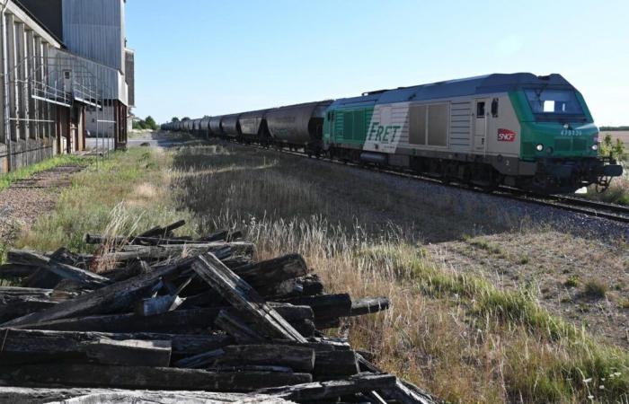 Fret SNCF sera remplacée par Hexafret et Technis, à compter du 1er janvier 2025