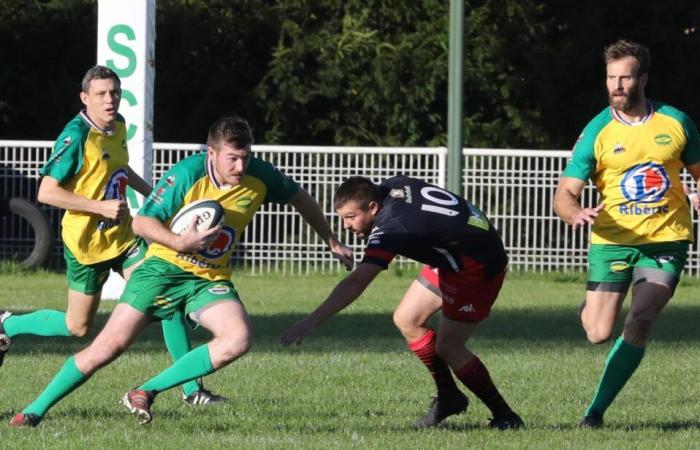 Rugby en Dordogne : Ribérac reprend des couleurs