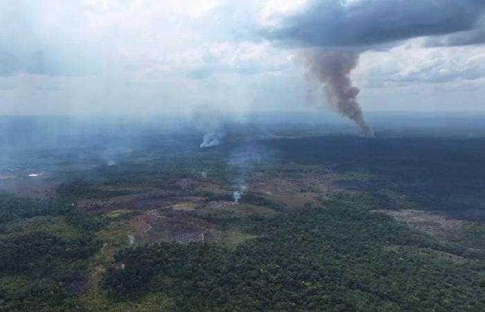 Face à la sécheresse et aux incendies, l’état d’urgence sanitaire est déclaré à Amapa