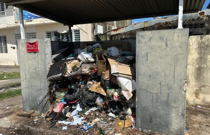 Le ramassage irrégulier des déchets dans le quartier de la Rénovation Urbaine de Cayenne contraint les habitants à subir des conditions d’insalubrité insupportables.