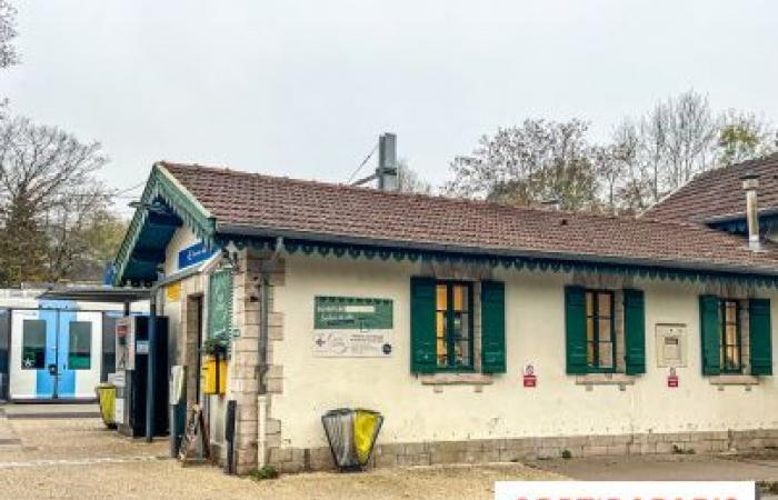 Aux Quais, le salon de thé bio et local qui investit la station Étang-la-Ville dans les Yvelines