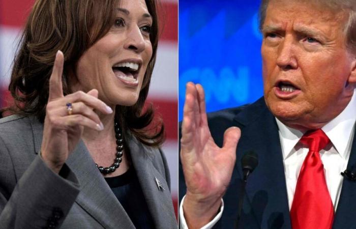 Que Kamala Harris ou Donald Trump gagne, les Américains craignent la violence