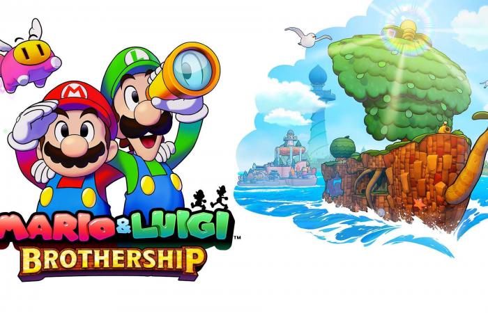 Test de Mario & Luigi : Fraternité