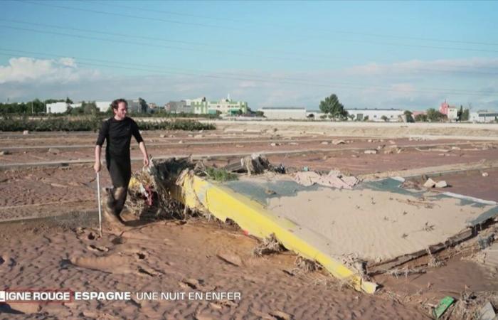 un frère et une sœur recherchent désespérément leur père, un camionneur emporté par les vagues