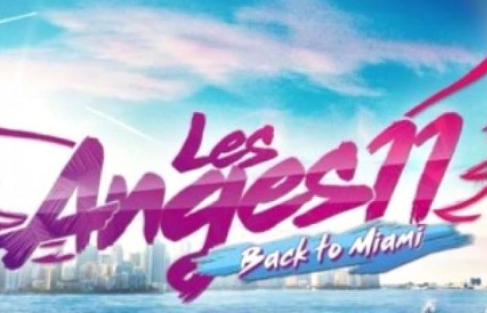 Un ancien candidat des « Anges » placé en garde à vue pour proxénétisme