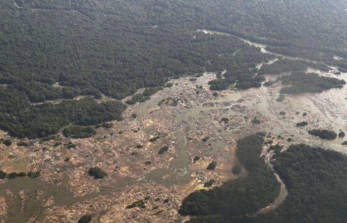 Les saisons sèches pourraient devenir plus intenses en Guyane