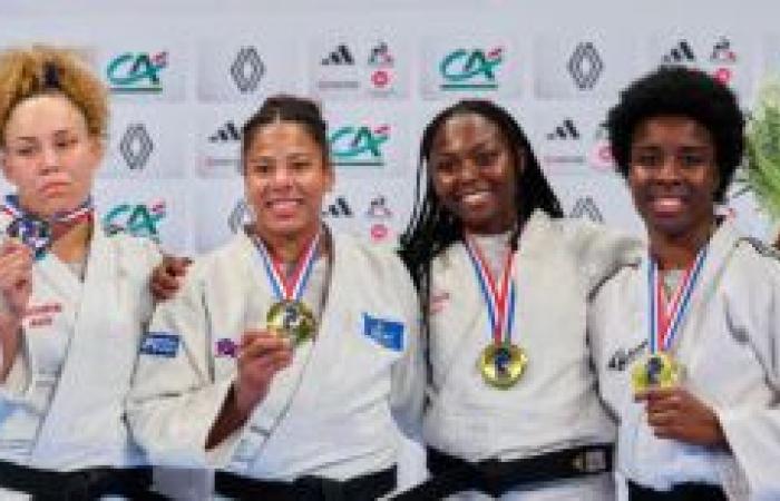 La Seine-Saint-Denis au sommet du judo français