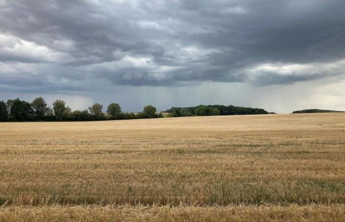 chez certains agriculteurs de l’Indre, le contrôle administratif unique inspire la méfiance