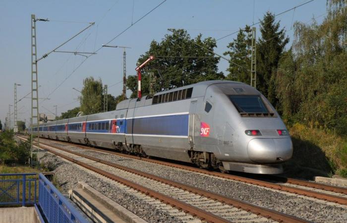 Fermeture de la ligne à grande vitesse Paris-Marseille du 9 au 12 novembre