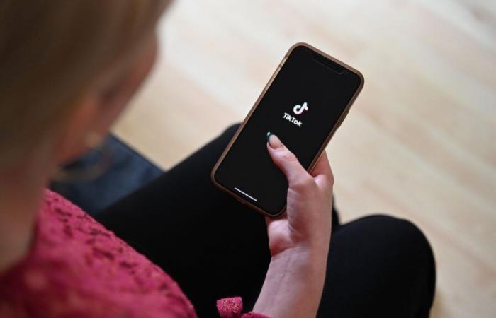 INFOFRANCEINFO. Le réseau social TikTok assigné en justice par sept familles en France