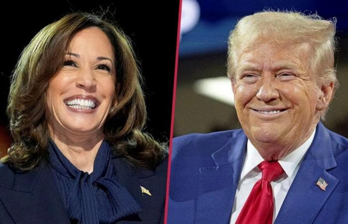 Élections américaines : Trump contre Harris – Que défendent les candidats ?