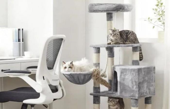 Baisse de plus de 90 euros sur le prix de cet arbre à chat sur Cdiscount