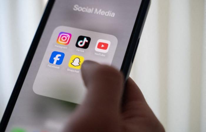 TikTok poursuivi par sept familles françaises, notamment pour « incitation au suicide »