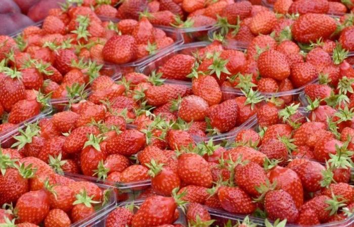 En soutien aux agriculteurs, les Mousquetaires arrêtent de vendre des fraises et des cerises à la fin de l’année