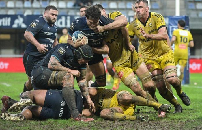 Un premier quart-temps, mention passable pour les joueurs montpelliérains en Top 14