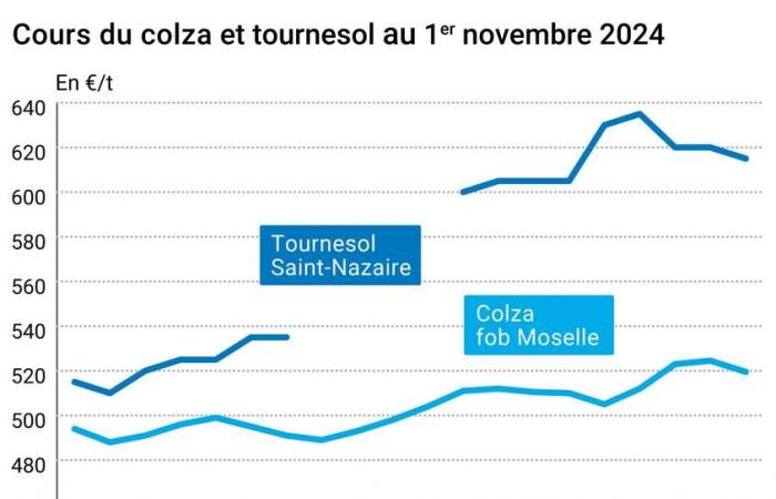 Oléagineux – Les prix du colza sur Euronext se contractent légèrement sous l’effet des ventes techniques tandis que ceux du soja américain rebondissent légèrement