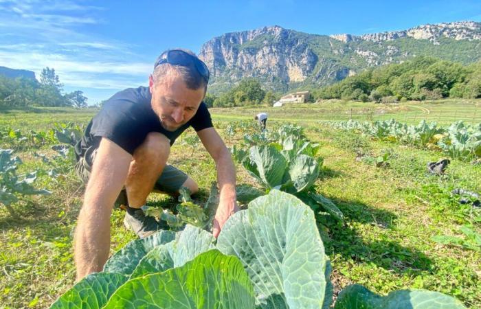 Pour approvisionner son restaurant de Mandelieu en légumes locaux, il rachète une ferme dans l’arrière-pays