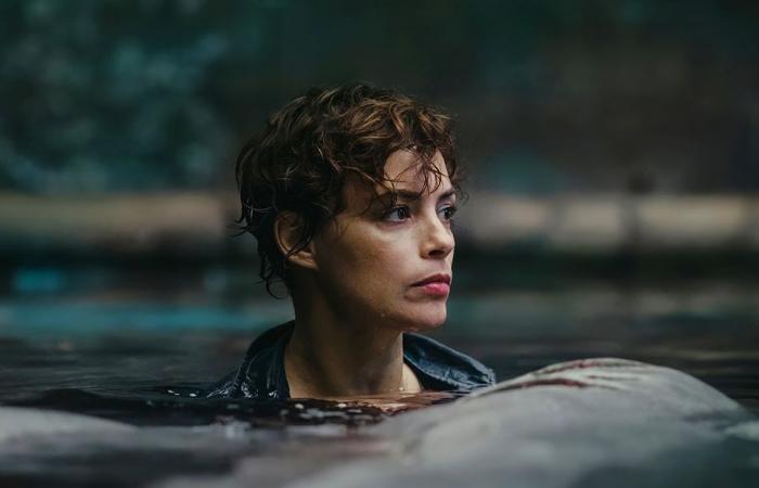 Bérénice Bejo annonce une suite à ce “film de requins” qui a tout cassé