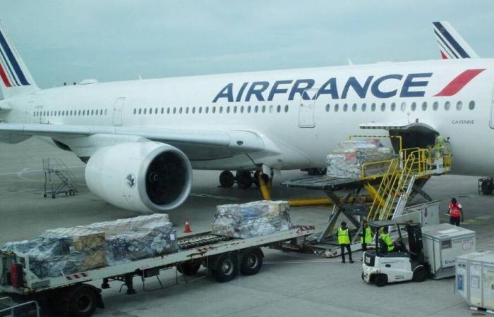 Air France suspend « par précaution » ses vols au-dessus de la zone de la mer Rouge